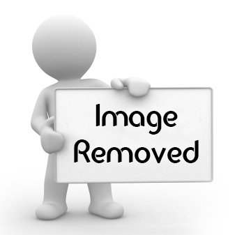 Imgspice Free Image Hosting Image Sharing Earn Money