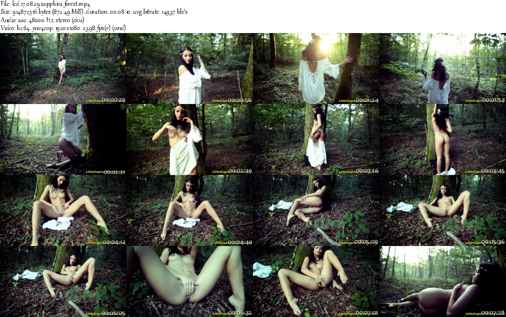 lcd.17.08.29.sapphira.forest_s.jpg