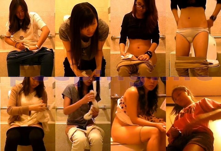 Singapore_female_toilet_4.jpg