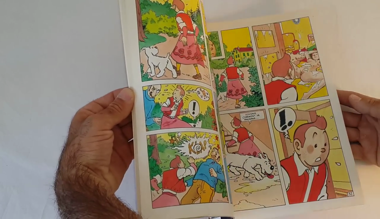 La-Vie-Sexuelle-De-Tintin-1993-Comic-Book-Part1-13--Gotofap.tk--79074672.png