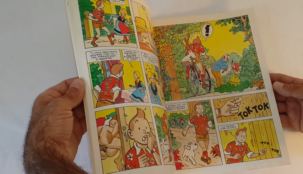 La-Vie-Sexuelle-De-Tintin-1993-Comic-Book-Part1-10--Gotofap.tk--42990889.png