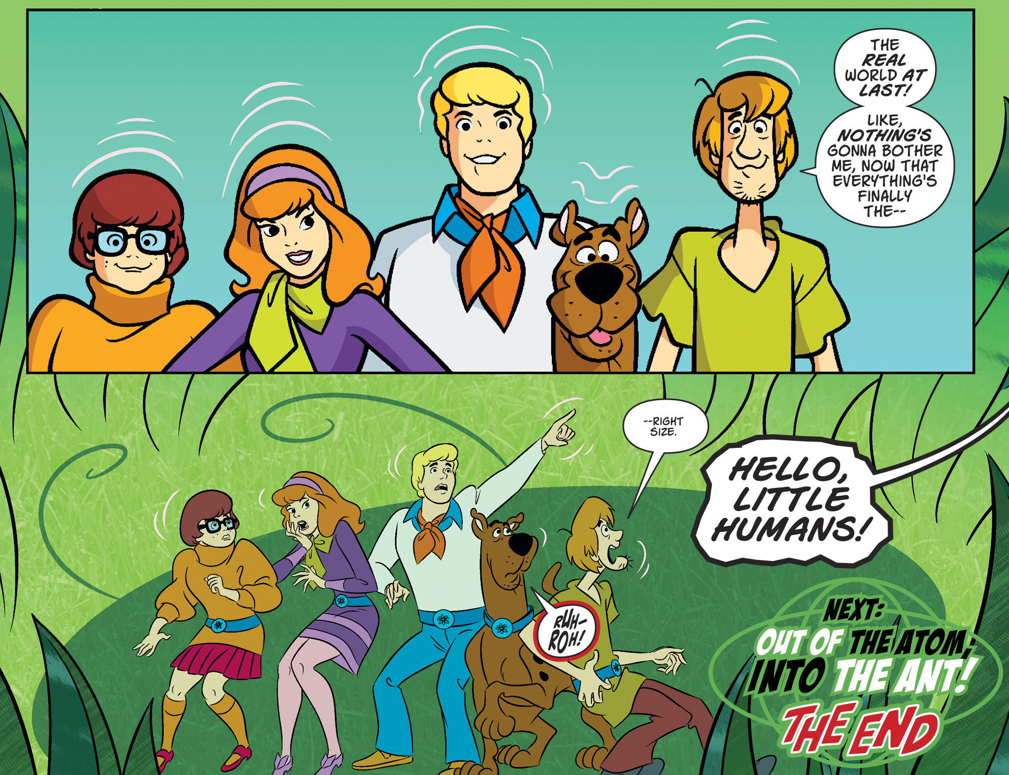 Scooby-Doo Team-Up (2013-) 062-021.jpg