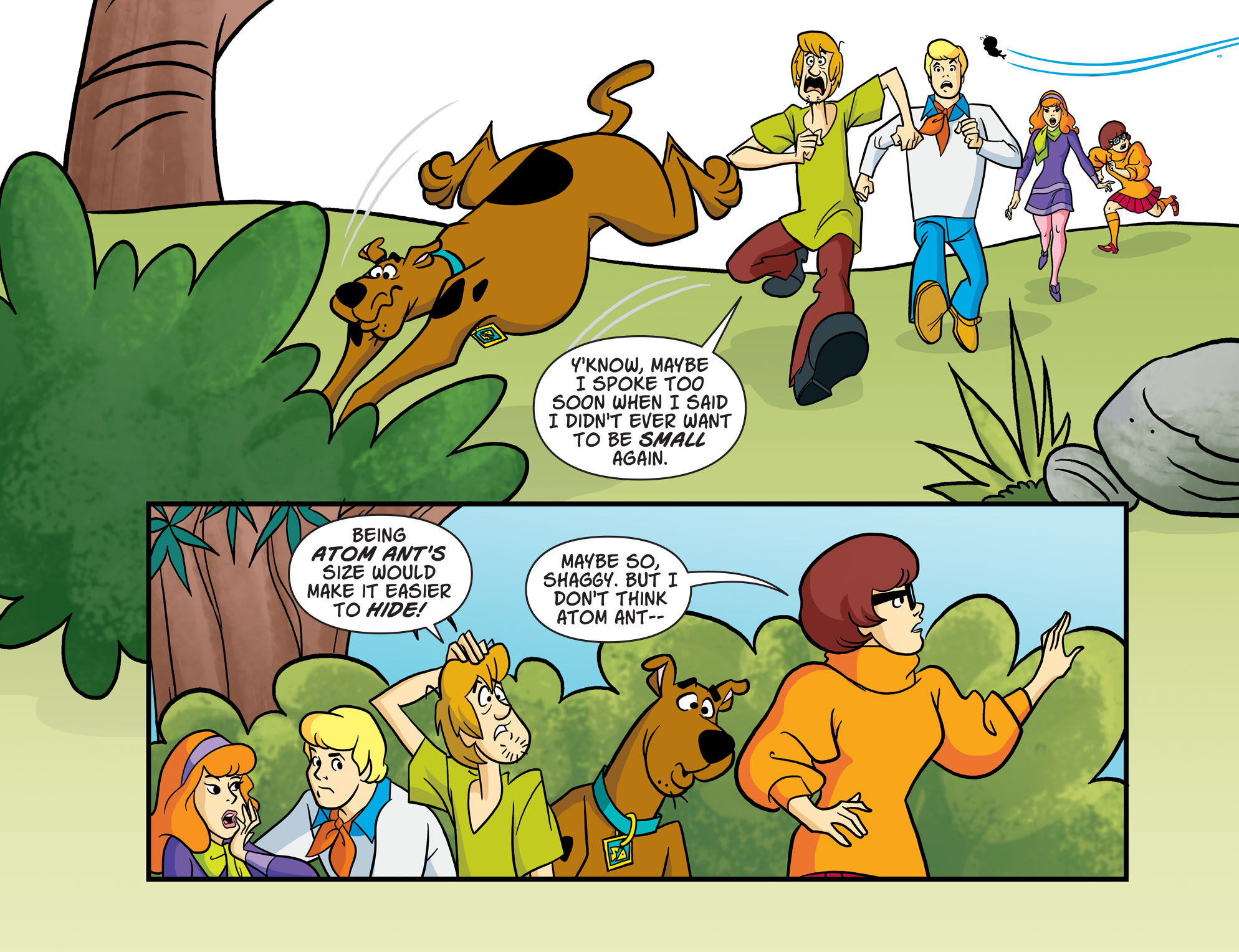 Scooby-Doo Team-Up (2013-) 063-011.jpg