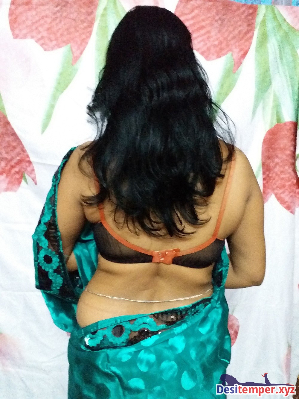 Bhabhi saree strip