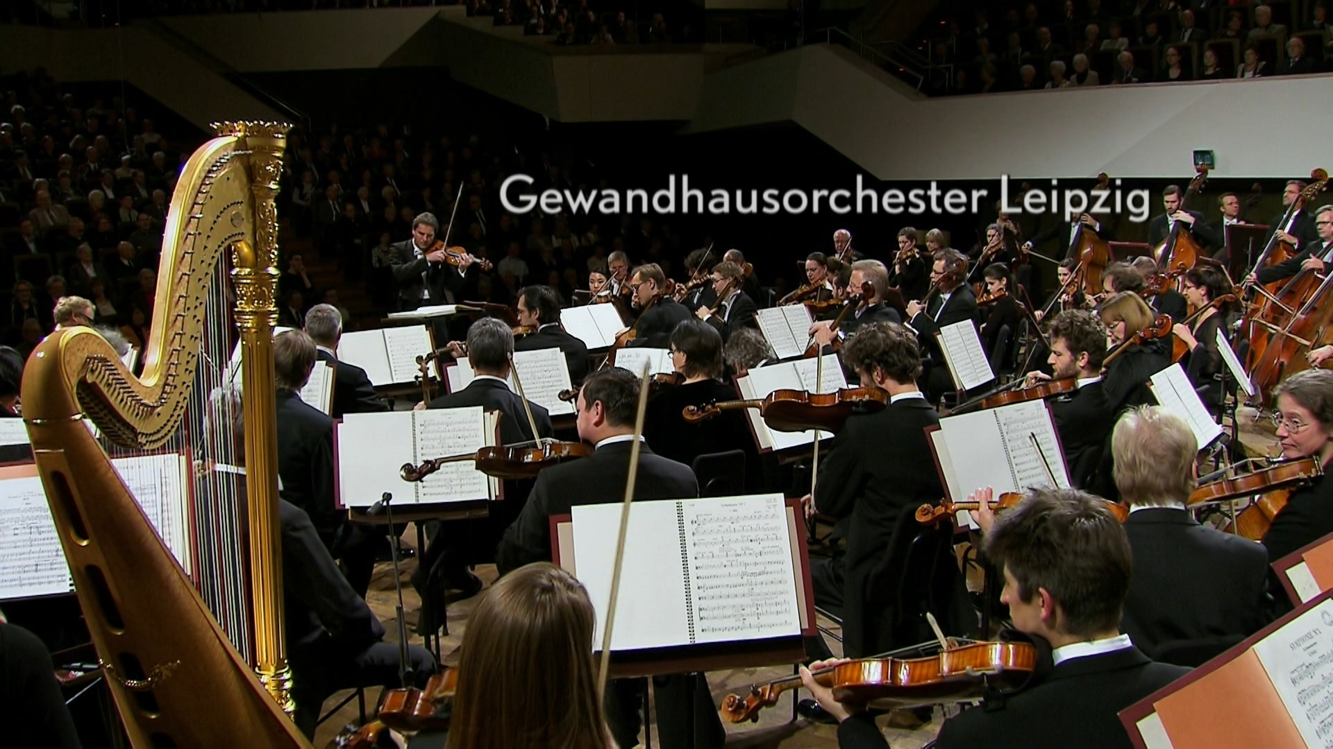 00003.m2ts(Mahler.Symphony No. 1.Gewandhausorchester Leipzig, Riccardo Chailly.2018.BD1080i)_20180604_193651.644.jpg