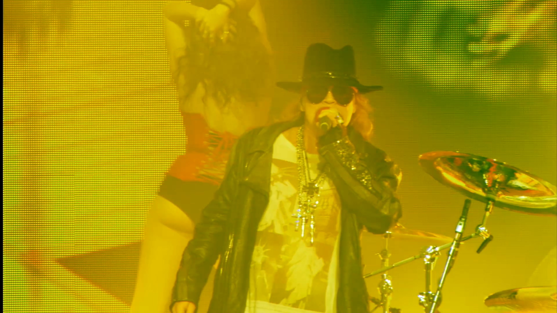 00000.m2ts(Guns N' Roses-Appetite.for.Democracy.Live.at.the.Hard.Rock.Casino-Las.Vegas.2012.2D.3D.BluRay.1080p)_20180725_204136.081.jpg