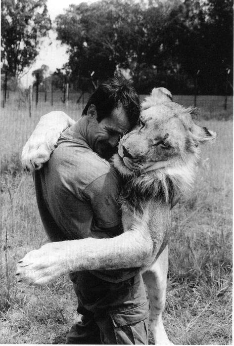 abraço do leão.jpg