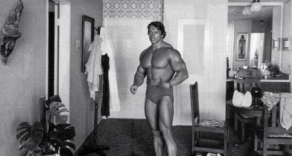 Arnold Schwarzenegger - antigas (27).jpg
