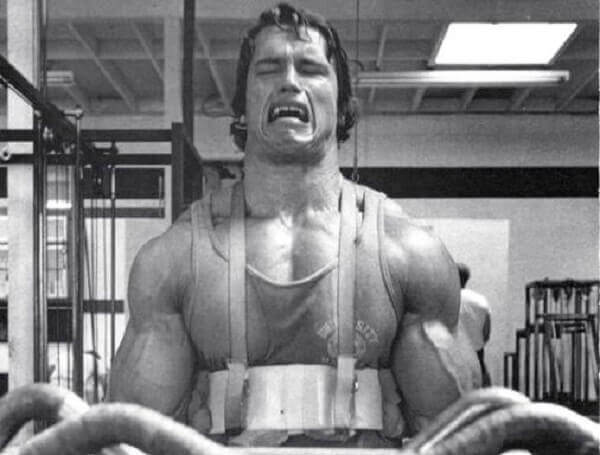 Arnold Schwarzenegger - antigas (20).jpg