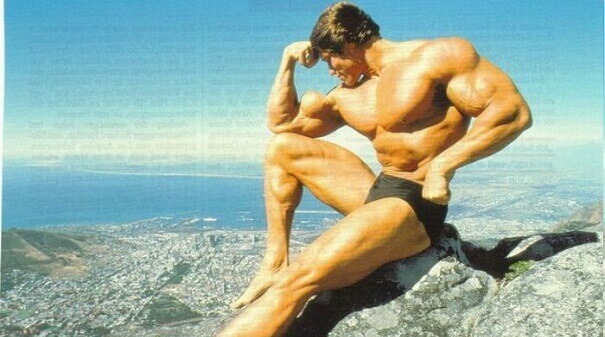 Arnold Schwarzenegger - antigas (22).jpg