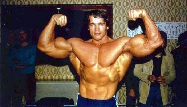 Arnold Schwarzenegger - antigas (31).jpg