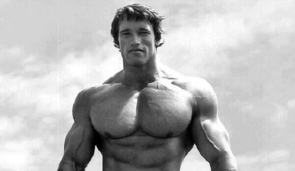 Arnold Schwarzenegger - antigas (11).jpg