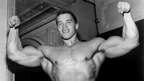 Arnold Schwarzenegger - antigas (18).jpg