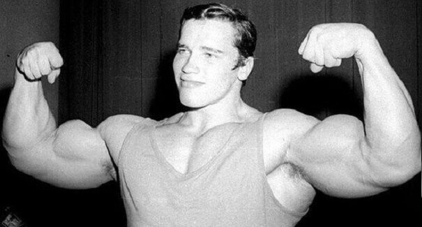Arnold Schwarzenegger - antigas (26).jpg