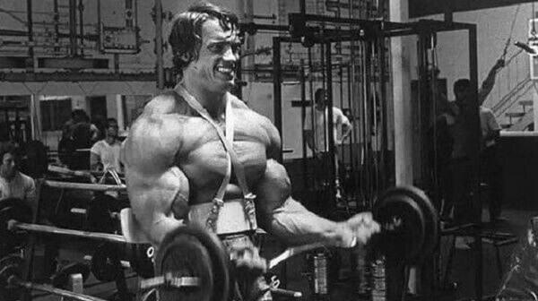 Arnold Schwarzenegger - antigas (10).jpg