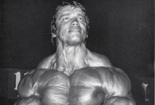 Arnold Schwarzenegger - antigas (32).jpg