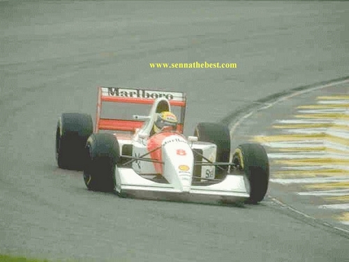 Ayrton Senna - Arquivo Pessoal (29).jpg