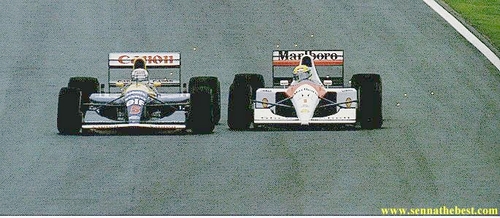 Ayrton Senna - Arquivo Pessoal (19).jpg